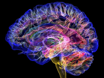 欧亚啪啪导航大脑植入物有助于严重头部损伤恢复